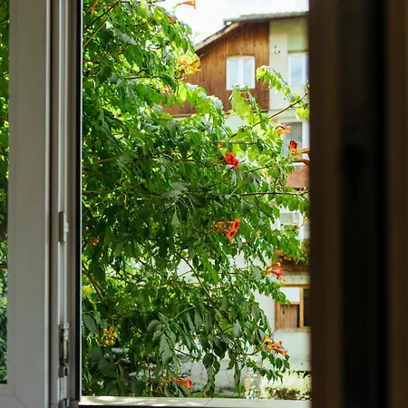 Cozy Central Near The Forest Brasov