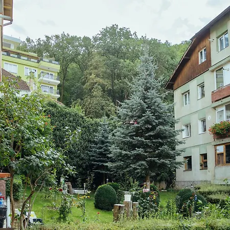Apartment Cozy Central Near The Forest